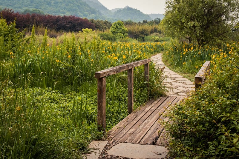 Winding Path