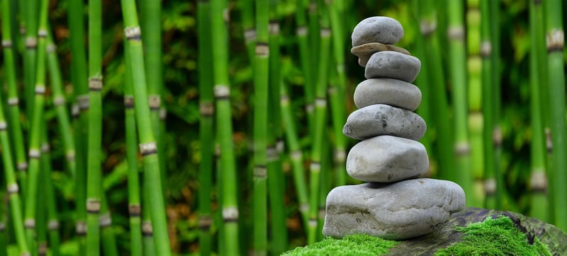 Tranquil Zen Garden Walk